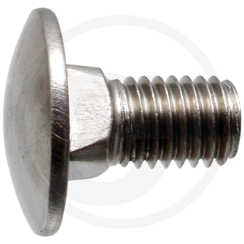 VPE1 Schlossschr.DIN603,8.8,VZ,M10x020